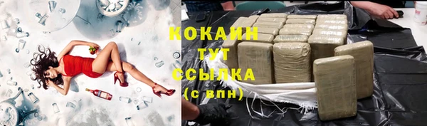 СК Алексин