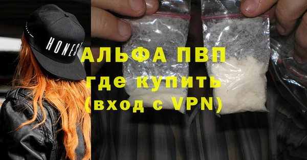 СК Алексин