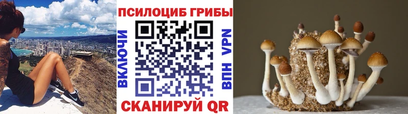 Псилоцибиновые грибы мицелий  Лысково 